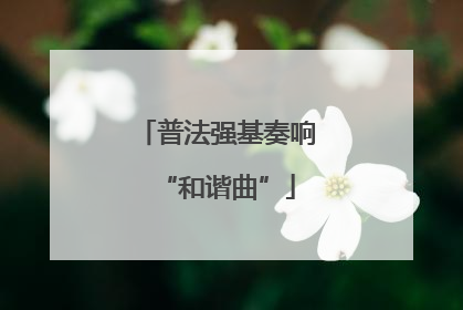 普法强基奏响“和谐曲”