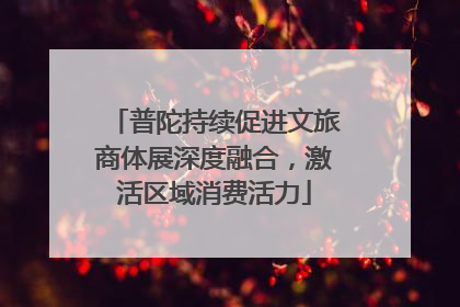 普陀持续促进文旅商体展深度融合，激活区域消费活力