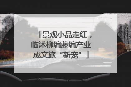 景观小品走红，临沭柳编藤编产业成文旅“新宠”
