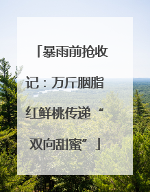 暴雨前抢收记：万斤胭脂红鲜桃传递“双向甜蜜”