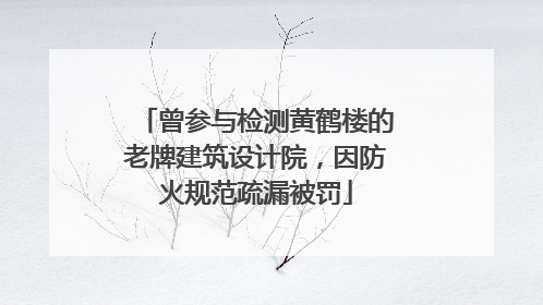 曾参与检测黄鹤楼的老牌建筑设计院，因防火规范疏漏被罚