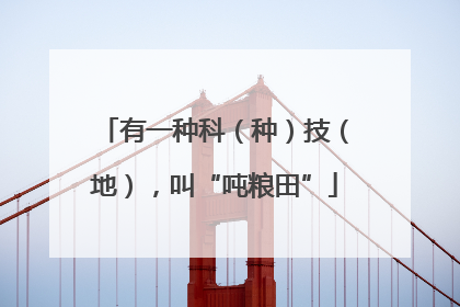有一种科（种）技（地），叫“吨粮田”
