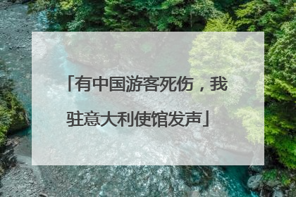 有中国游客死伤，我驻意大利使馆发声