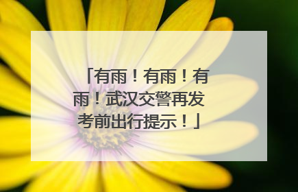 有雨！有雨！有雨！武汉交警再发考前出行提示！