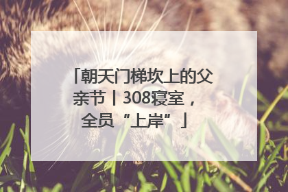 朝天门梯坎上的父亲节丨308寝室，全员“上岸”