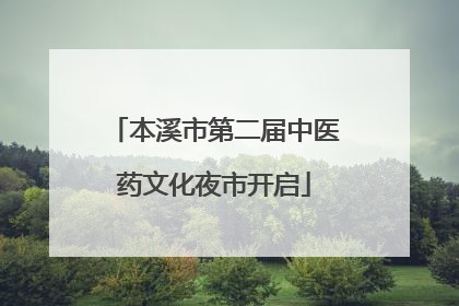本溪市第二届中医药文化夜市开启