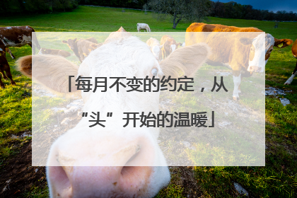每月不变的约定，从“头”开始的温暖