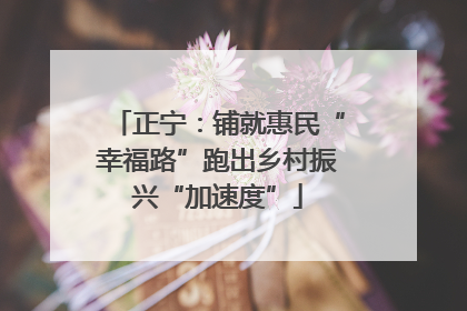 正宁：铺就惠民“幸福路”跑出乡村振兴“加速度”