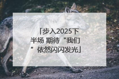 步入2025下半场 期待“我们”依然闪闪发光