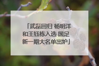 武磊回归 杨明洋和王钰栋入选 国足新一期大名单出炉