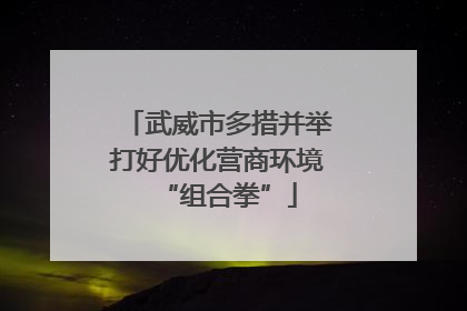 武威市多措并举打好优化营商环境“组合拳”