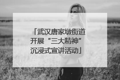 武汉唐家墩街道开展“三大精神”沉浸式宣讲活动