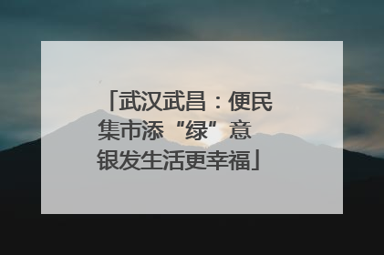 武汉武昌：便民集市添“绿”意 银发生活更幸福