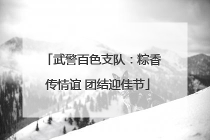 武警百色支队：粽香传情谊 团结迎佳节