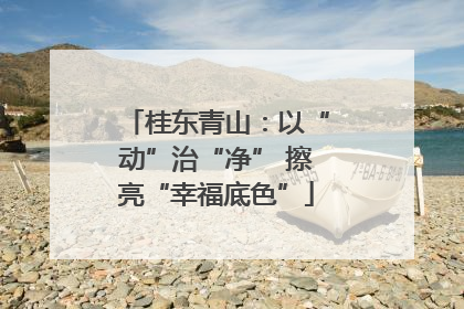 桂东青山：以“动”治“净” 擦亮“幸福底色”