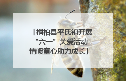 桐柏县平氏镇开展“六一”关爱活动 情暖童心助力成长