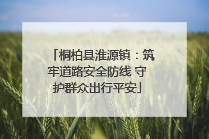 桐柏县淮源镇：筑牢道路安全防线 守护群众出行平安