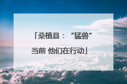 桑植县：“猛兽”当前 他们在行动