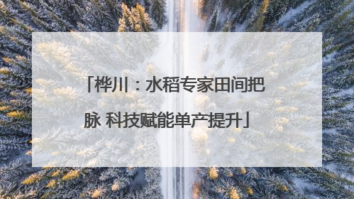 桦川：水稻专家田间把脉 科技赋能单产提升