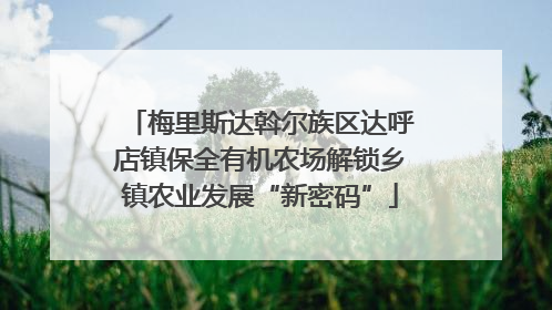 梅里斯达斡尔族区达呼店镇保全有机农场解锁乡镇农业发展“新密码”