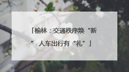 榆林：交通秩序焕“新” 人车出行有“礼”