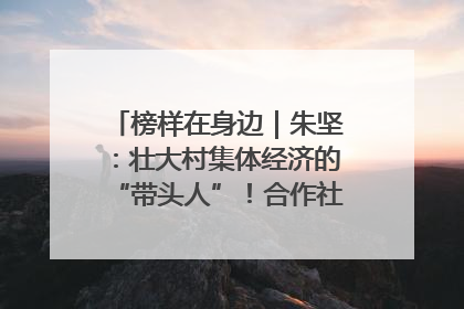 榜样在身边｜朱坚：壮大村集体经济的“带头人”！合作社经营收入三年内突破1200万元