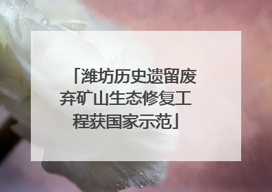 潍坊历史遗留废弃矿山生态修复工程获国家示范
