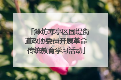 潍坊寒亭区固堤街道政协委员开展革命传统教育学习活动