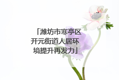 潍坊市寒亭区开元街道人居环境提升再发力