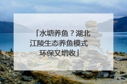 水塘养鱼？湖北江陵生态养鱼模式环保又增收