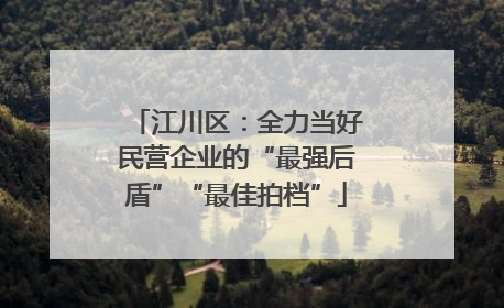 江川区：全力当好民营企业的“最强后盾”“最佳拍档”