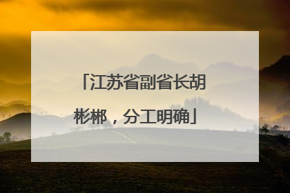 江苏省副省长胡彬郴，分工明确