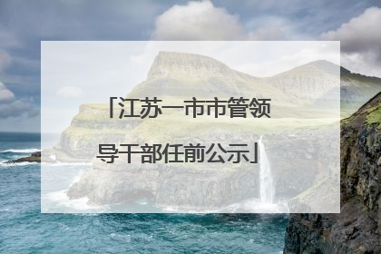 江苏一市市管领导干部任前公示