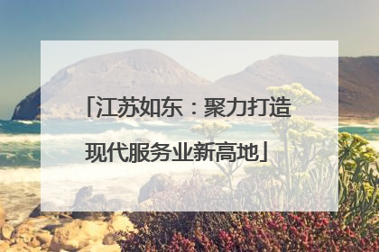 江苏如东：聚力打造现代服务业新高地