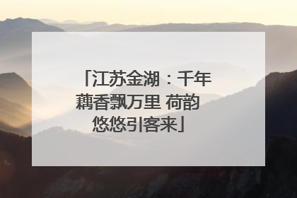 江苏金湖：千年藕香飘万里 荷韵悠悠引客来