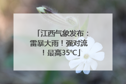 江西气象发布：雷暴大雨！强对流！最高35℃