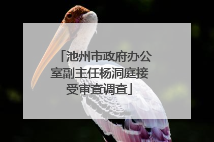 池州市政府办公室副主任杨洞庭接受审查调查