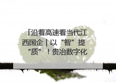 沿着高速看当代江西国企｜以“智”提“质”！贵冶数字化转型迈出新步伐