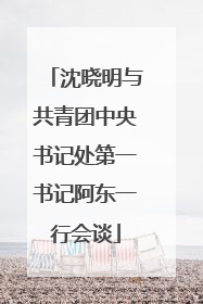 沈晓明与共青团中央书记处第一书记阿东一行会谈