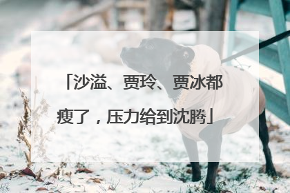 沙溢、贾玲、贾冰都瘦了，压力给到沈腾