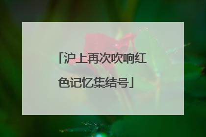 沪上再次吹响红色记忆集结号