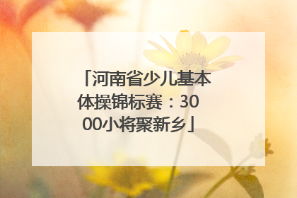 河南省少儿基本体操锦标赛：3000小将聚新乡