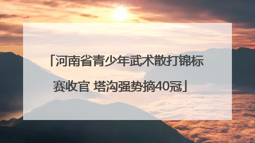 河南省青少年武术散打锦标赛收官 塔沟强势摘40冠