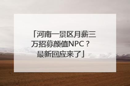 河南一景区月薪三万招募颜值NPC？最新回应来了