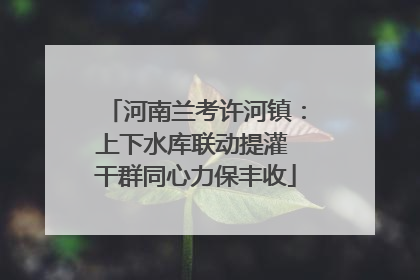 河南兰考许河镇：上下水库联动提灌 干群同心力保丰收