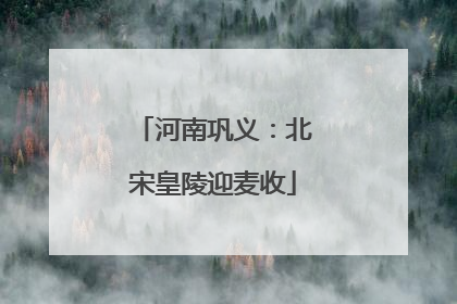 河南巩义：北宋皇陵迎麦收