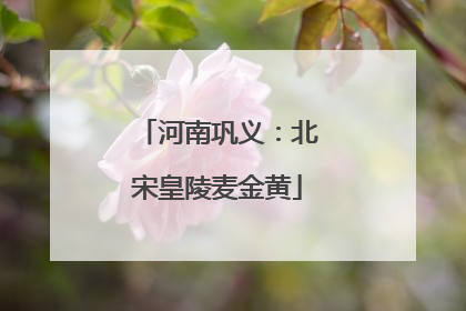 河南巩义：北宋皇陵麦金黄