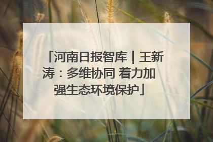 河南日报智库｜王新涛：多维协同 着力加强生态环境保护