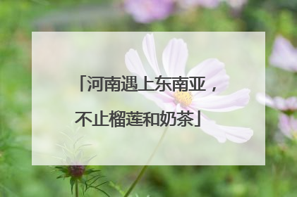 河南遇上东南亚，不止榴莲和奶茶