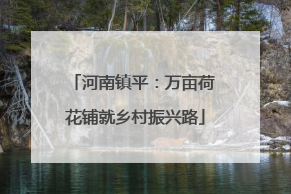 河南镇平：万亩荷花铺就乡村振兴路